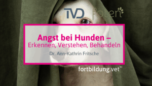 Angst bei Hunden
