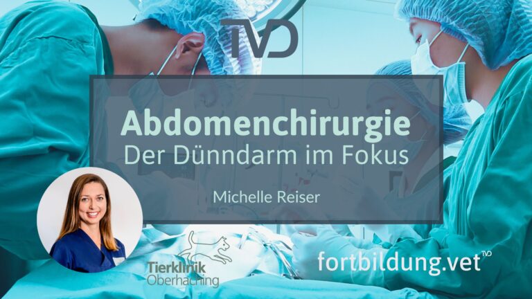 fortbildung.vet Titelbild