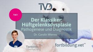 Der Klassiker: Hüftgelenksdysplasie - Pathogenese und Diagnostik