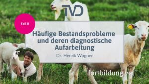 Häufige Bestandsprobleme und deren diagnostische Aufarbeitung
