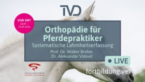 Orthopädie für Pferdepraktiker
