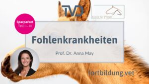 Sparpaket Fohlenkrankheiten