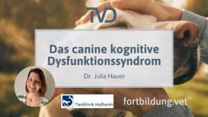 Das canine kognitive Dysfunktionssyndrom