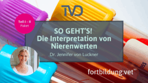 SO GEHT’S! Die Interpretation von Nierenwerten Paket