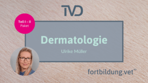 Dermatologie Paket