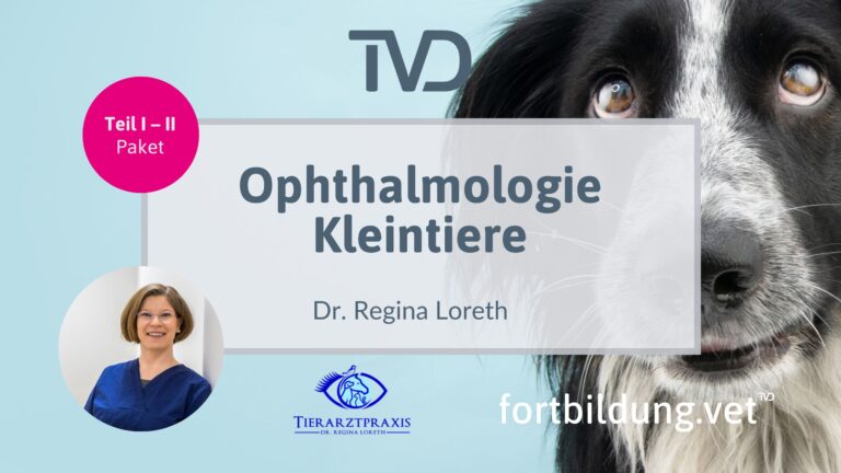 fortbildung.vet Titelbild
