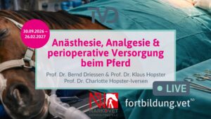Anästhesie, Analgesie & perioperative Versorgung beim Pferd