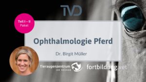 Ophthalmologie Pferd Paket